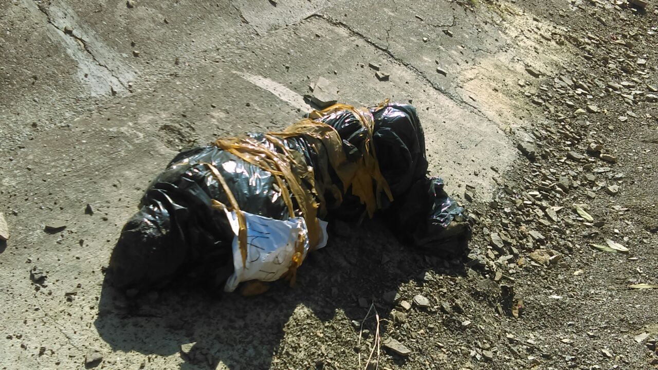 Encuentran cuerpo en una bolsa en la Autopista del Sol