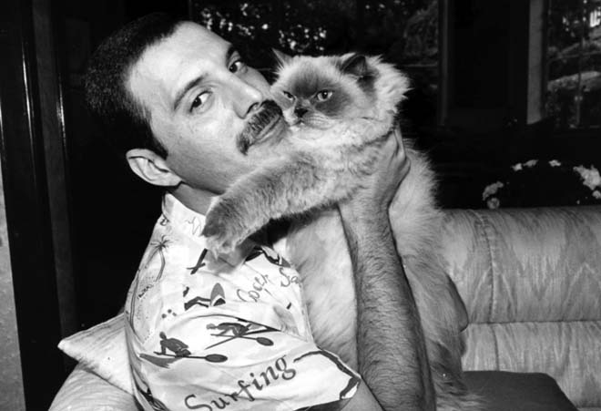 Los 10 datos curiosos de Freddie Mercury a 25 años de su muerte - freddie-9