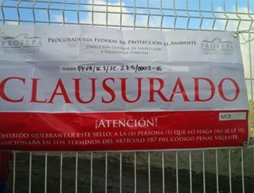 Profepa clausura la Isla del Amor en Veracruz