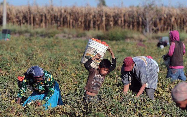 Rescatan a 72 personas explotadas laboralmente en Coahuila