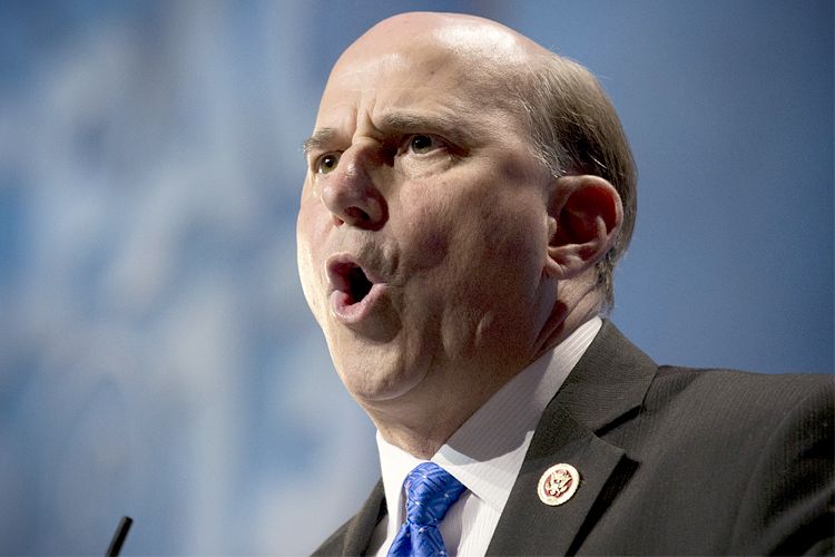 Congreso de EE.UU. obtendrá fondos para construir el muro: legislador - louie_gohmert2