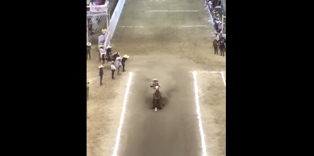 Video: Manuel Velasco cae de caballo