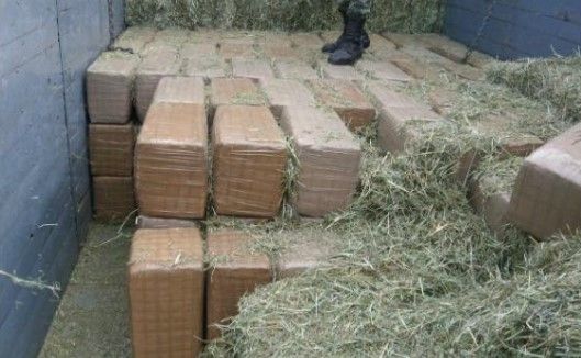 Aseguran 2.6 toneladas de mariguana aromatizada en Sonora