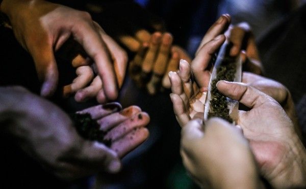 ¿Qué más se eligió en Estados Unidos? - marihuana-recreativa