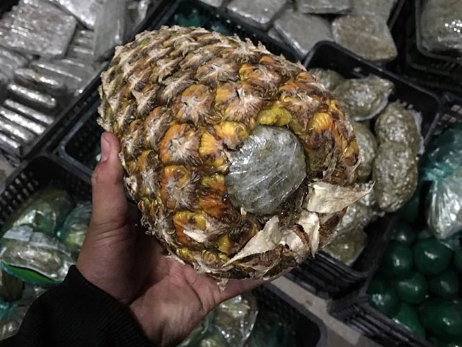 Ocultan 100 kilos de mariguana en aguacates, piñas y lechugas - mota-03