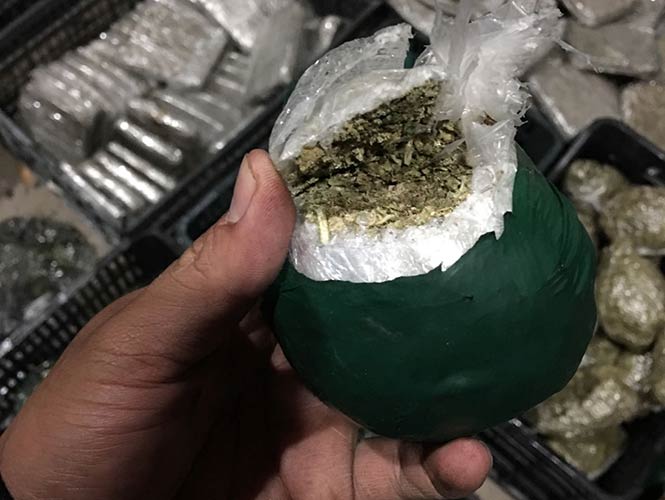 Ocultan 100 kilos de mariguana en aguacates, piñas y lechugas - mota-04