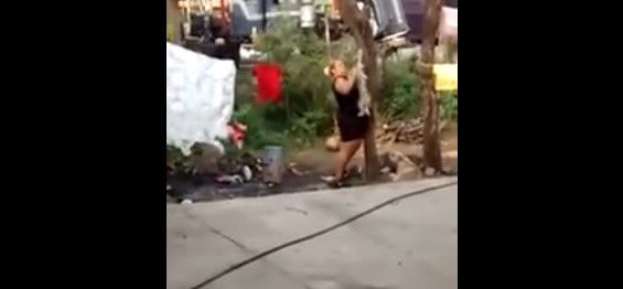 Video: mujer cuelga de un árbol a perro