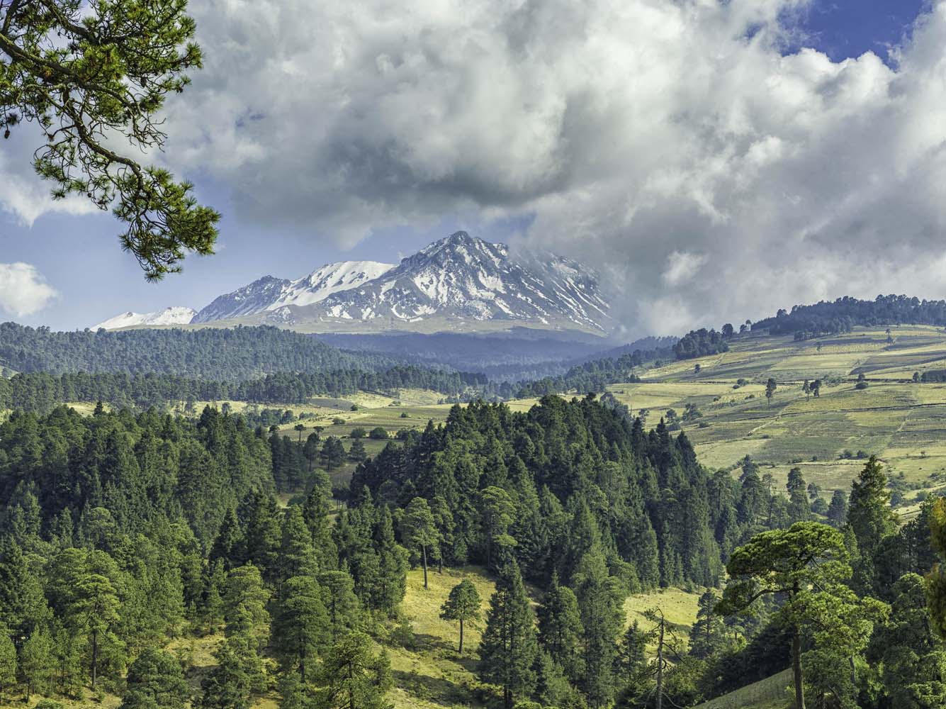 Nevado de Toluca será manejado con esquema sustentable: Semarnat - nevado-de-toluca-2