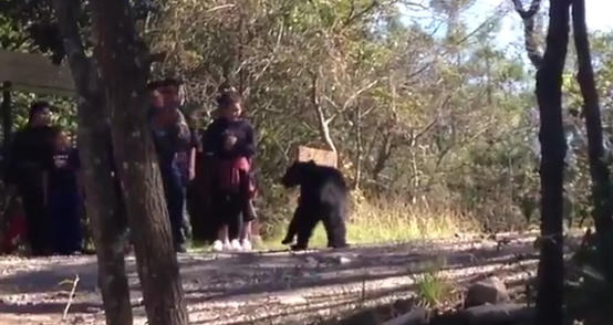 Video: oso asusta a paseantes en Nuevo León