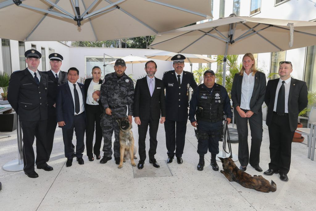 PGR recibe perros entrenados en Alemania para la búsqueda de restos humanos - pgr-perros-2-1024x683