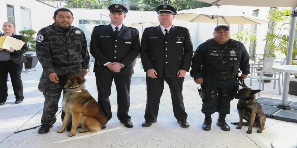 PGR recibe perros entrenados en Alemania para la búsqueda de restos humanos