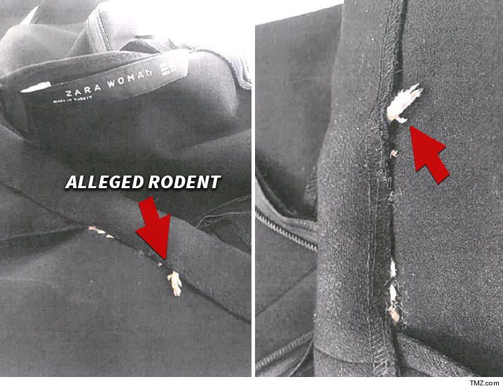 Mujer demanda a Zara porque encontró una rata en vestido - rata-en-zara