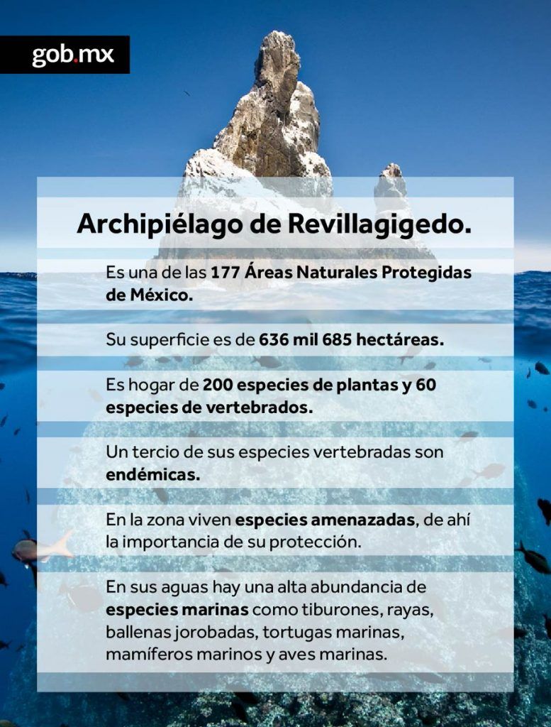 Archipiélago de Revillagigedo, Patrimonio de la Humanidad por la UNESCO - revillagidedo-1-777x1024