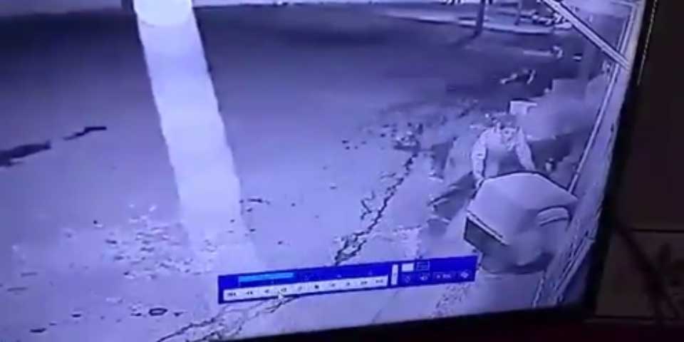 #Viral: ladrones roban casa a un perro en Edomex