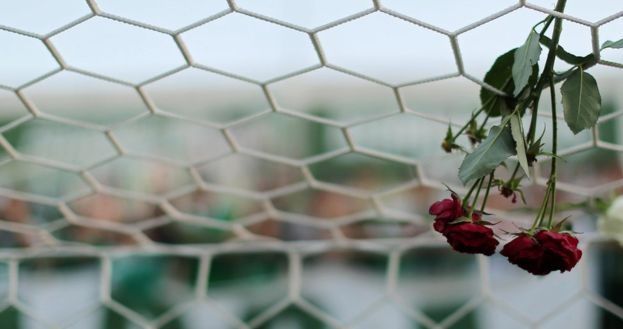 Homenaje de un periodista a mentor que perdió la vida en accidente aéreo