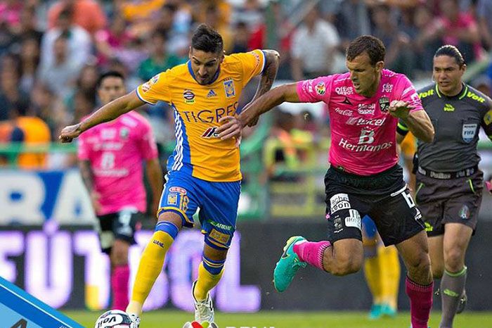 El Debate: ¿Cuál será la final de la Liga MX? - tigres-vs-leon