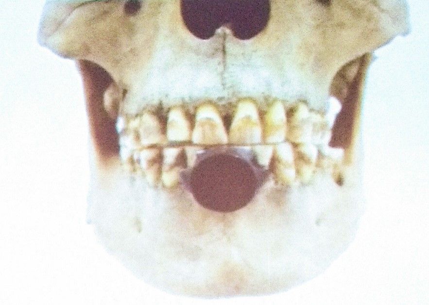 Realizan descubrimiento de templo en Tlatelolco - tlatelolco-II