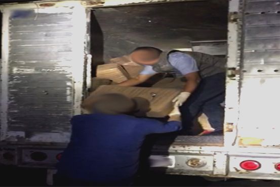 PGR asegura tonelada y media de mariguana en Nuevo León - 1-OK-2-1