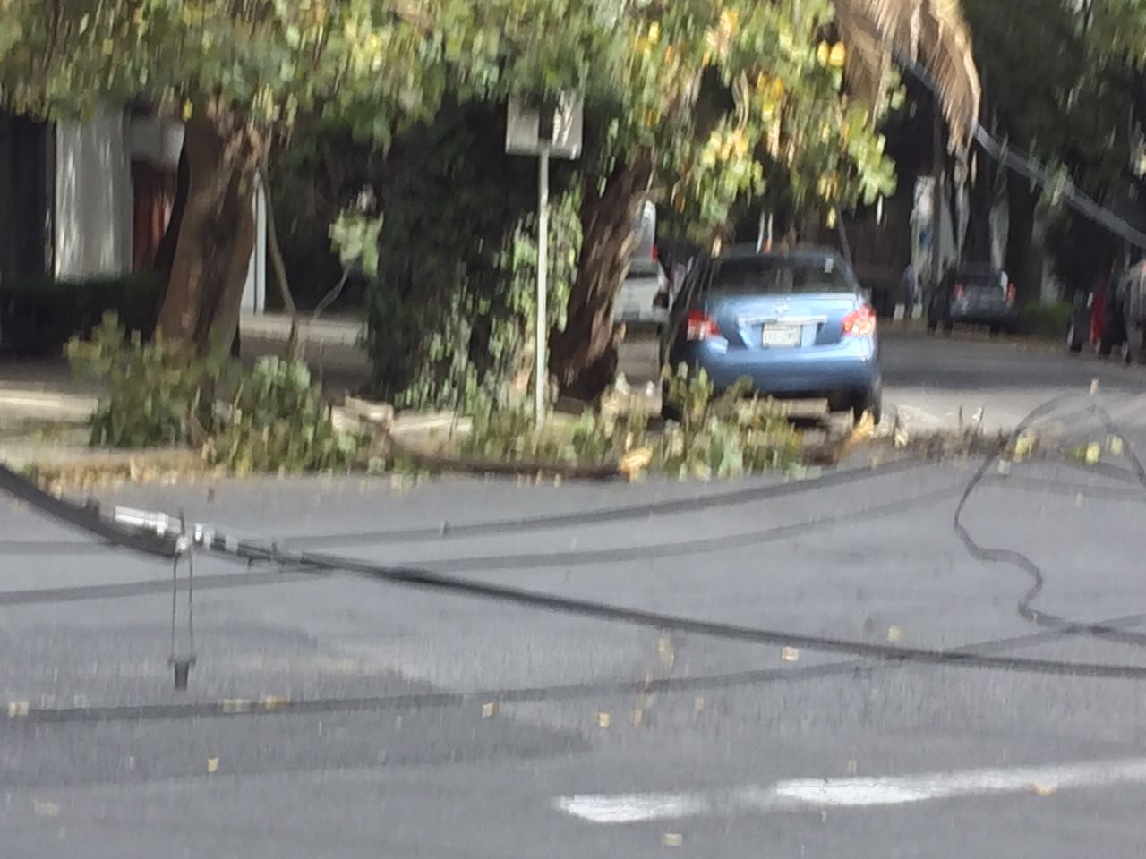 Cae poste de luz en Polanco - 15321563_10154553092356140_595200242_o