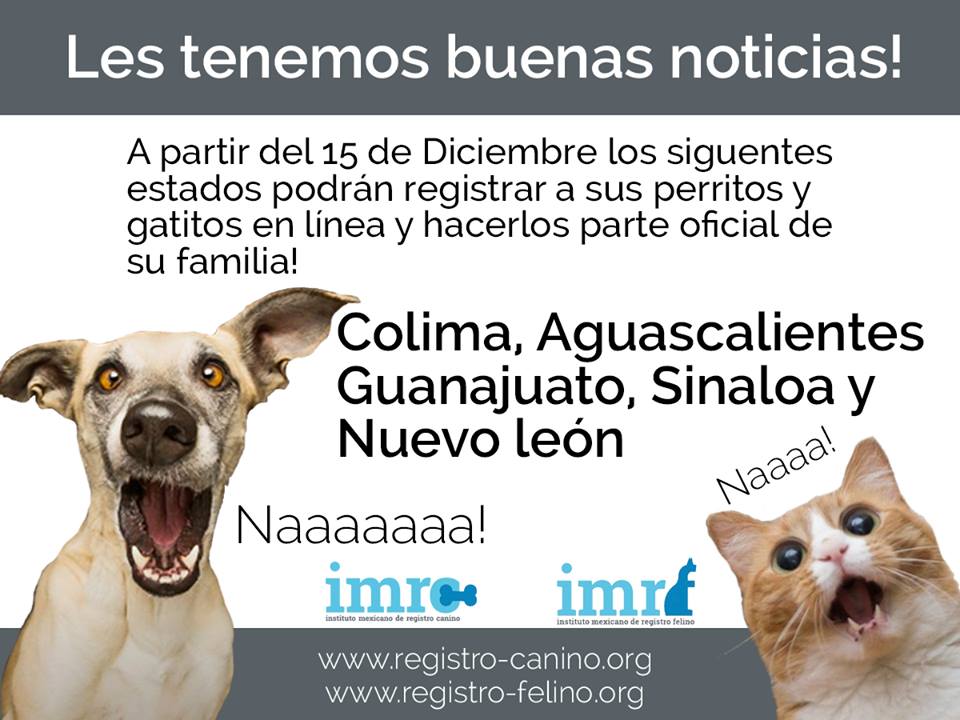 Mascotas podrán registrarse como miembros de la familia - 15420890_1038784076249505_6520328239231486780_n