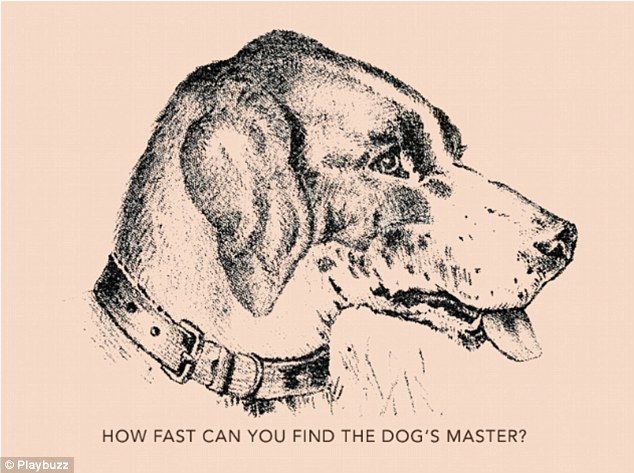 ¿Puede encontrar al dueño del perro?