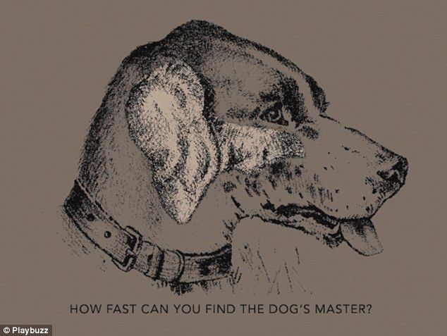 ¿Puede encontrar al dueño del perro? - 3BB61A8A00000578-4075622-image-a-9_1483093889544