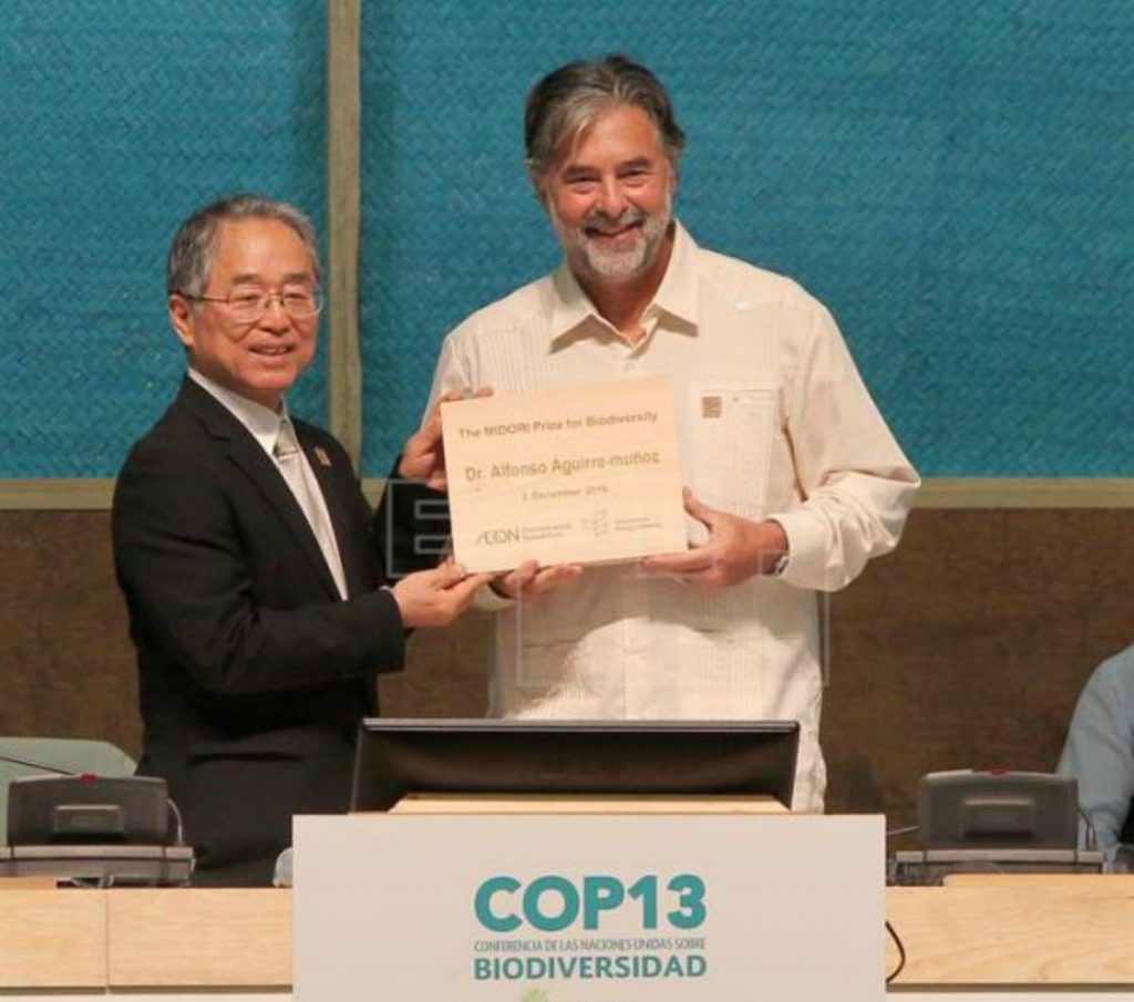 Por primera vez un mexicano gana Premio Midori de la Biodiversidad - Alfonso-Aguirre-Muñoz-1024x905