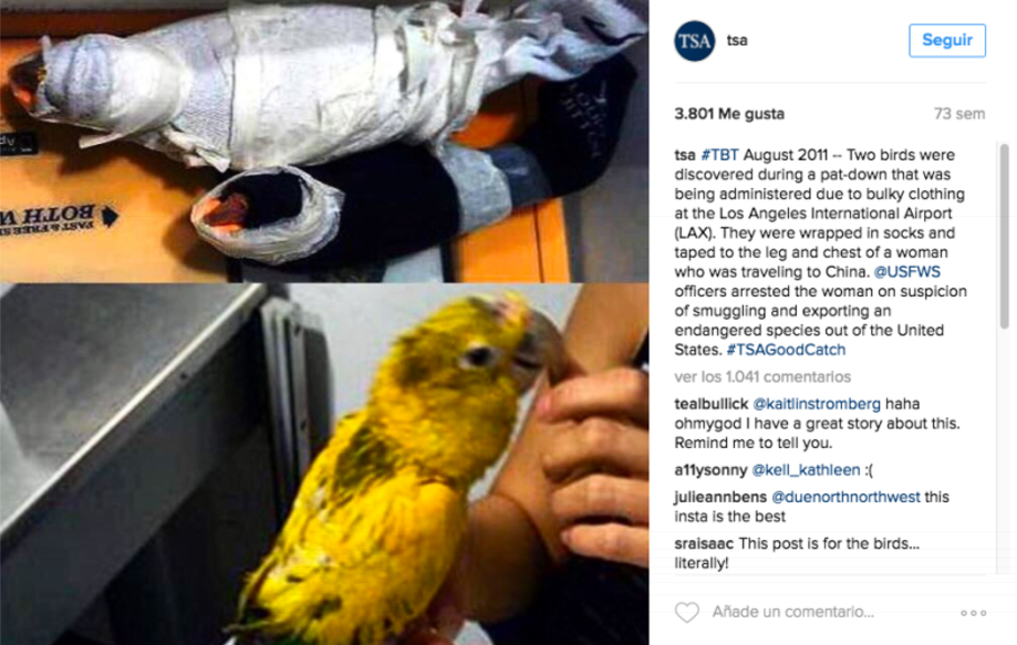 Objetos extraños confiscados en aeropuertos - Captura-de-pantalla-2016-12-05-a-las-13.13.39