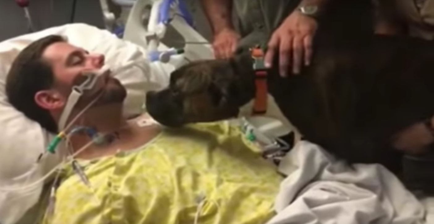 Video: perro da último adiós a su dueño en el hospital