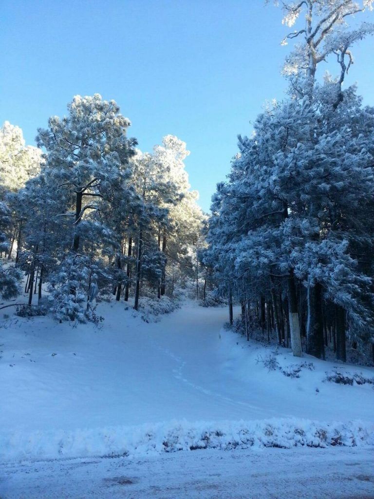 Reportan nevadas en Durango - Nevadas-II-768x1024
