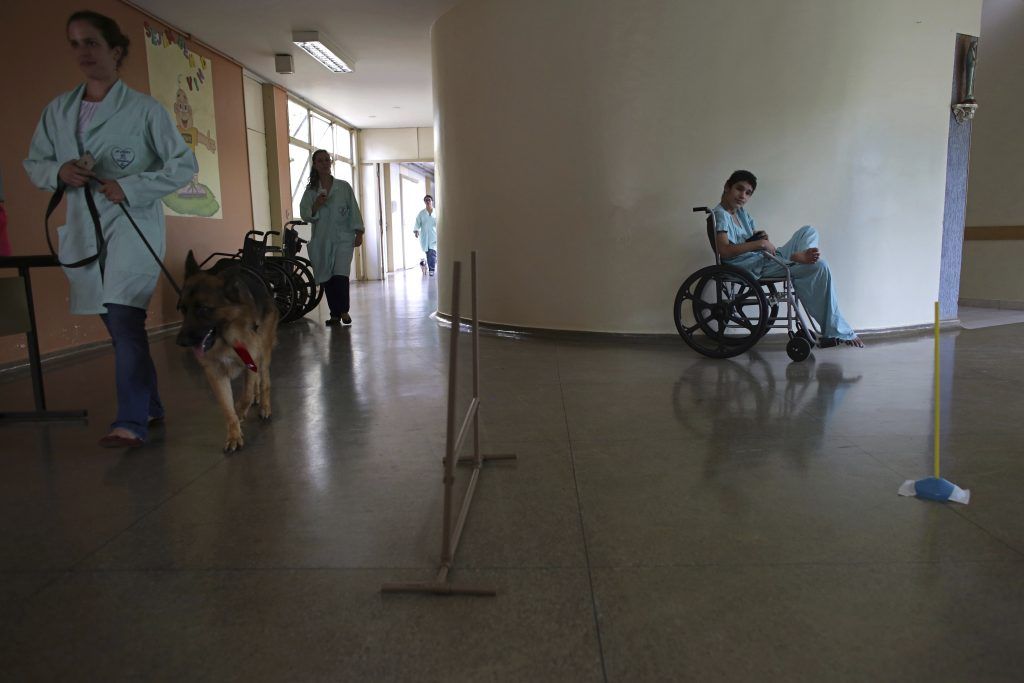 Hospital brasileño ofrece "perroterapia" - SOP-AP-SPANI-SPAN-BR_Medi-4-1024x683