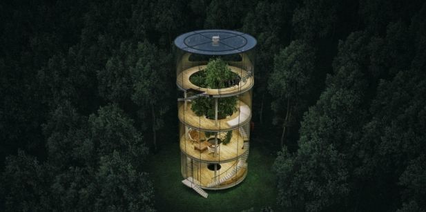 Moderna y autosustentable casa del árbol