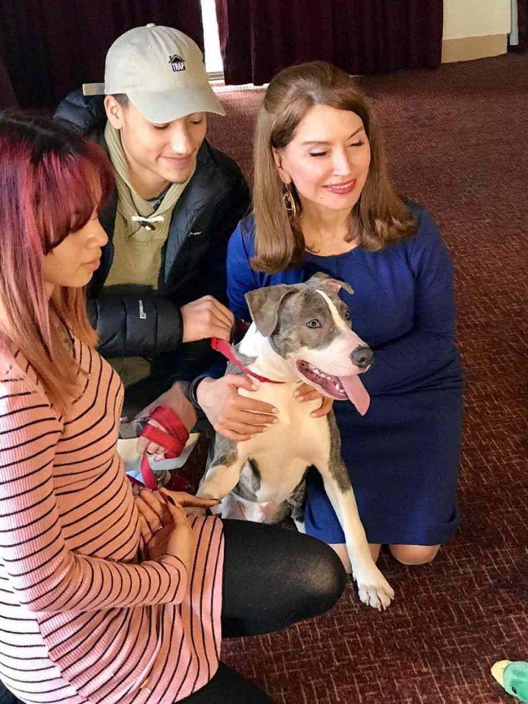 Condecoran a perro que salvó a joven de ser violada - apollo-768x1024