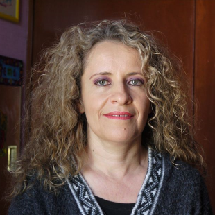 Cámara de Diputados envía llamado de atención a titular de Sedesol - araceli-damián