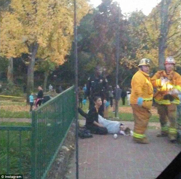 Un muerto y 5 heridos tras caerles un árbol durante una boda - arbol-boda-4
