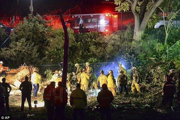 Un muerto y 5 heridos tras caerles un árbol durante una boda