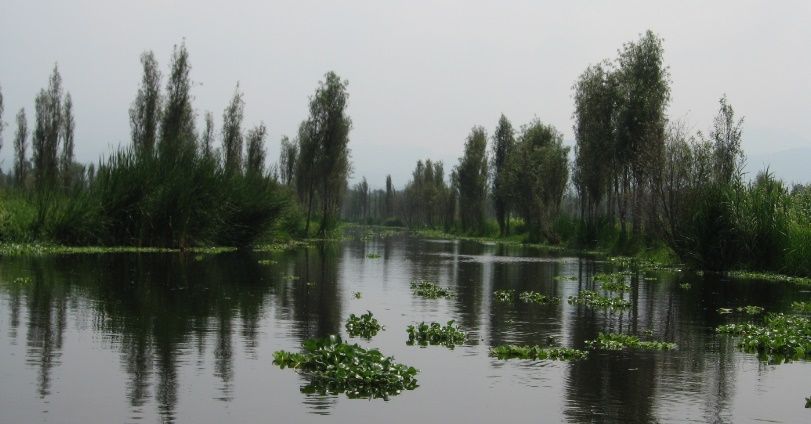 Limpian los canales de Xochimilco