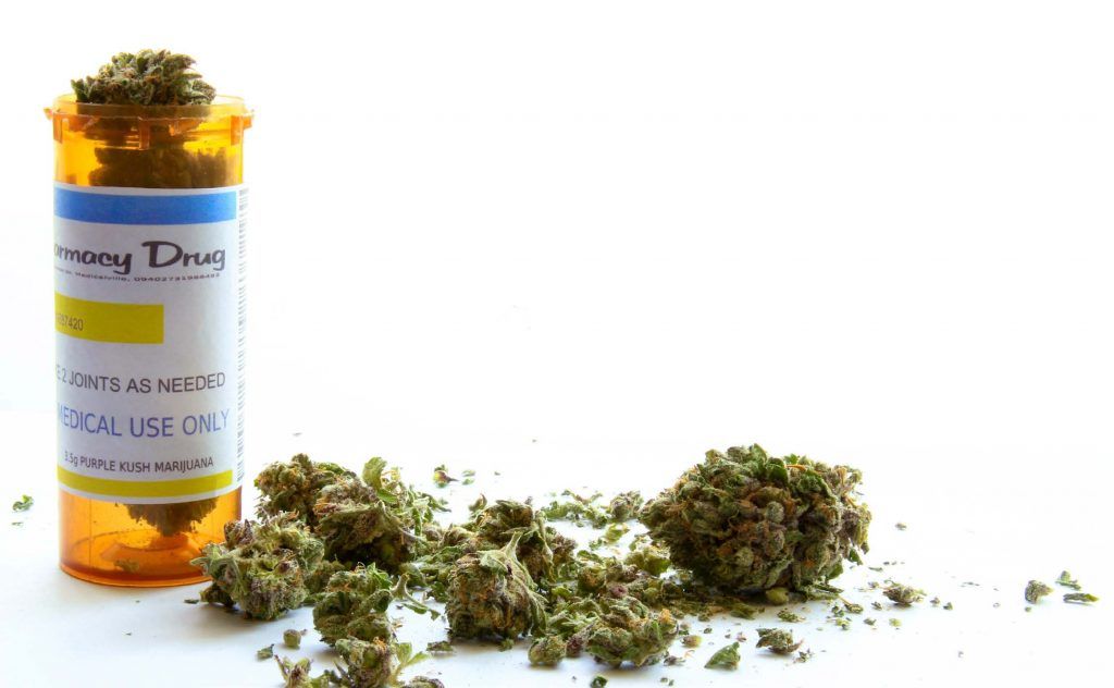 Advierten sobrerregulación en uso medicinal de la mariguana - cannabis-1024x632