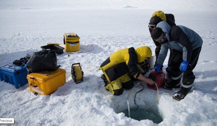 Robot registra la vida debajo del hielo de la Antártida