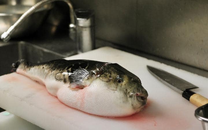 Diez platillos extraños alrededor del mundo - comida3