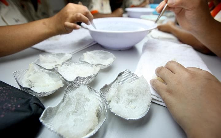 Diez platillos extraños alrededor del mundo - comida6