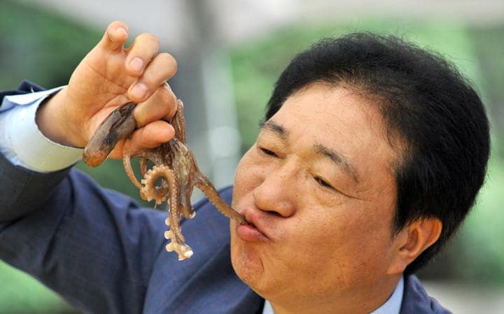 Diez platillos extraños alrededor del mundo - comida7