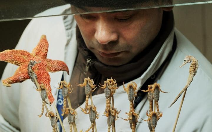 Diez platillos extraños alrededor del mundo - comida8