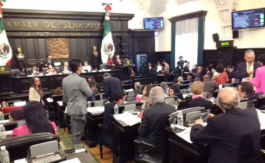 Constituyente aprueba tres últimos artículos - constituyente