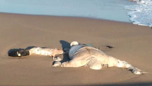 Hallan cadáver de copiloto de avión desaparecido en Veracruz - cuerpo-avioneta-veracruz