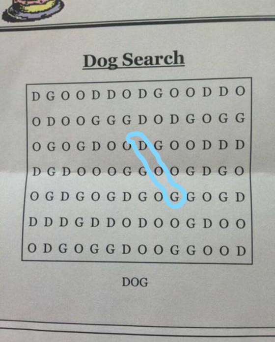 Nuevo reto viral para resolver en menos de un minuto - dog-2