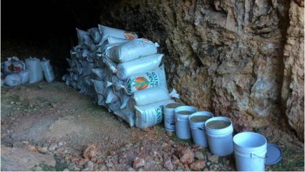 Ejército asegura 7 toneladas de mariguana en Sonora