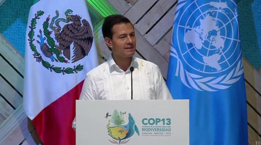 EPN triplicó el número áreas protegidas que había en México: Pacchiano - epn-cop13-1024x571