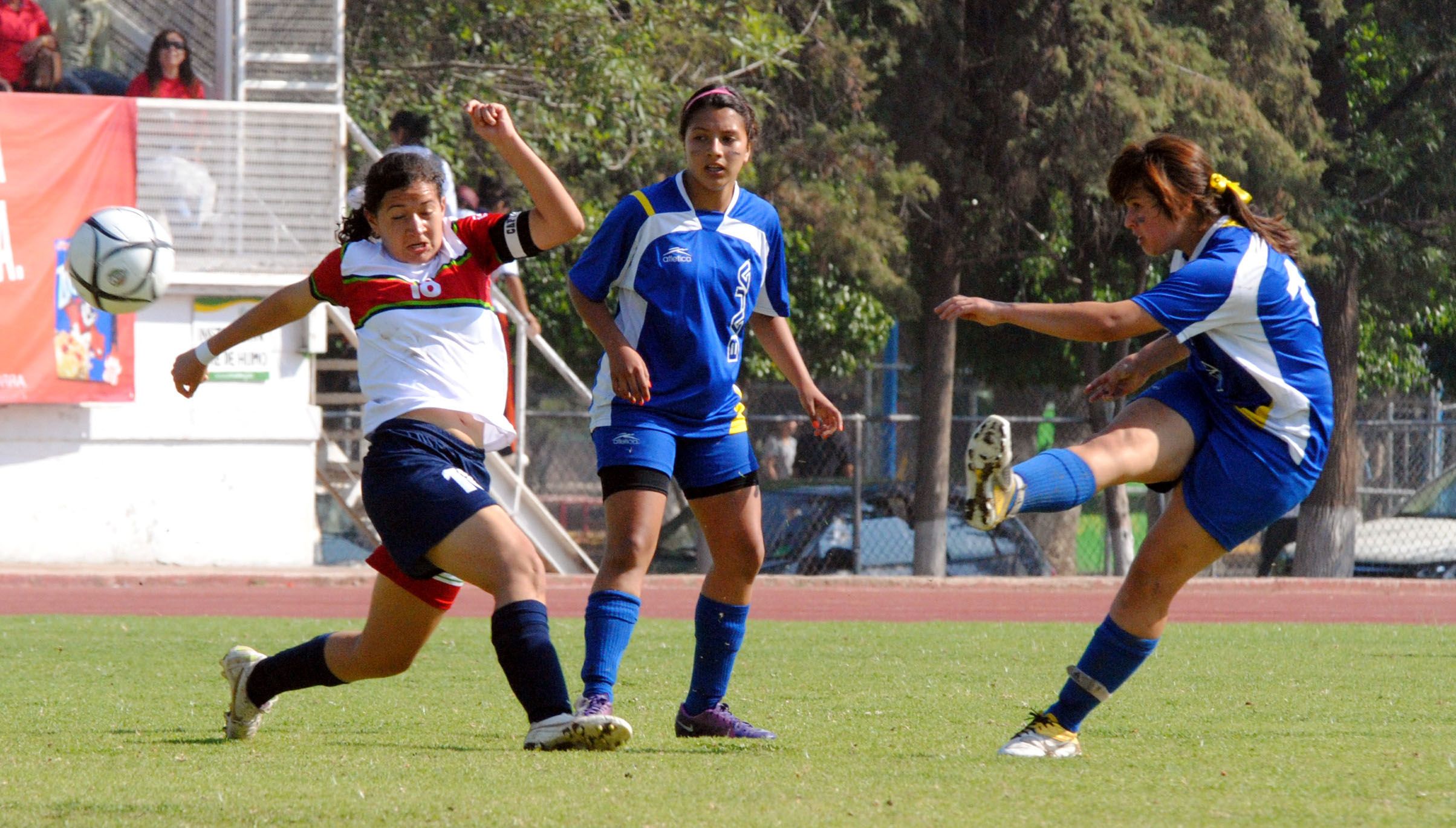 FMF creará una Liga MX femenil FMF creará una Liga MX femenil