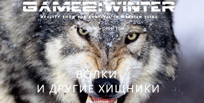 Crean 'Los Juegos del Hambre' de la vida real - game2-winter